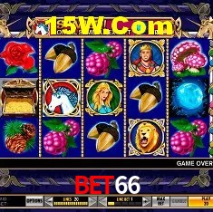 Recursos de Bônus Bet66